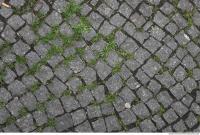 floor stones overgrown 0001